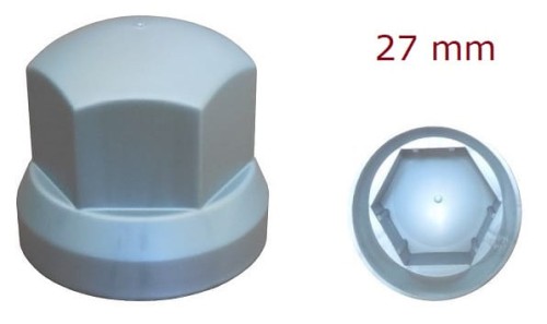 ns33.jpg